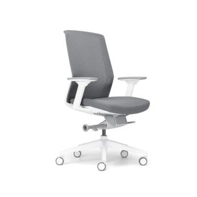 Ergonomic Chairs