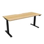Sit-Stand