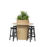 Carousel High Table