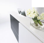 Roxy - Image 5