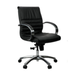 Franklin Medium Back