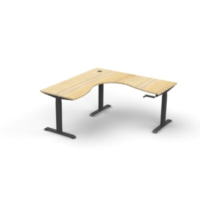 Sit-Stand