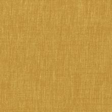 Marigold