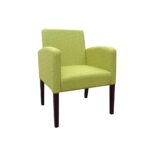 Bindi Tub Chair