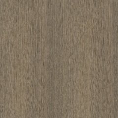Sepia Oak