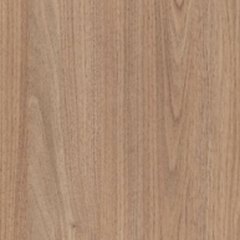 Tasmanian Oak
