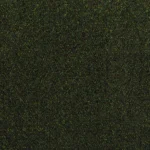 Babylon Moss