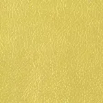 Lustrell Acacia