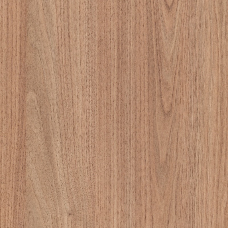 Tasmanian Oak