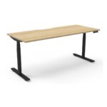 Halo+ Single Sided Desk