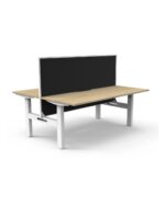 Boost Static Back to Back Workstation - Image 10