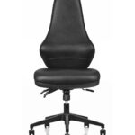 Ergora Medium Back Posture Chair