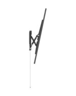 Horizon TV Mount - Image 2